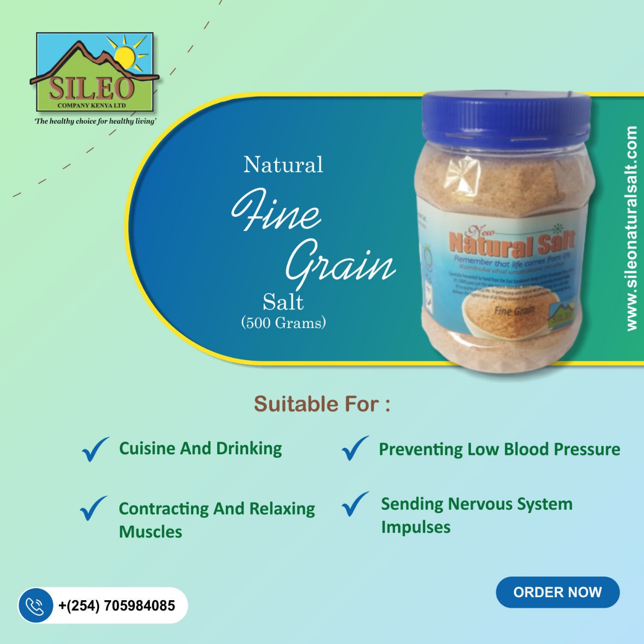 Sileo Salt Natural Fine Grain Salt 500g